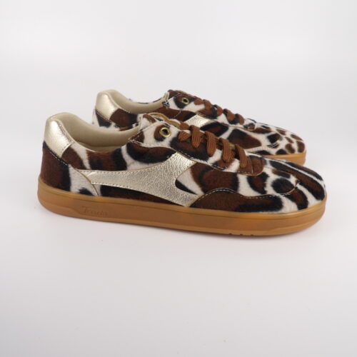 Carabassí Vegano Potro