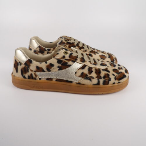 Carabassí Vegano Leopardo